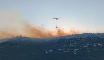 İzmir'de orman yangını. Havadan ve karadan müdahale ediliyorİzmir'in Torbalı ilçesinde çıkan orman yangınına havadan ve karadan müdahale ediliyor.