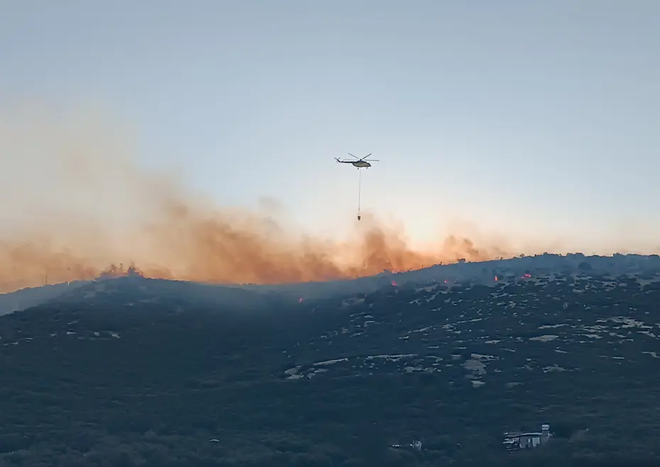 İzmir'de orman yangını. Havadan ve karadan müdahale ediliyor