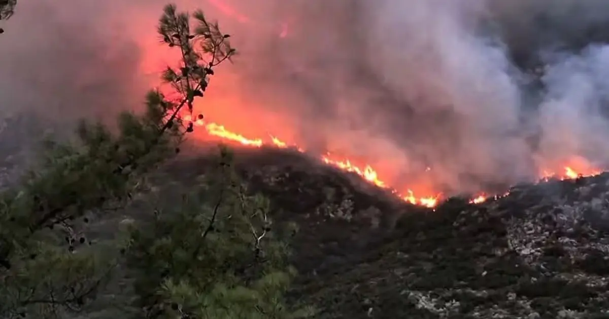 Antalya Kaş'ta orman yangını. Alevler rüzgarla büyüdü, müdahale sürüyor