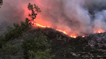 Antalya Kaş'ta orman yangını. Alevler rüzgarla büyüdü, müdahale sürüyor