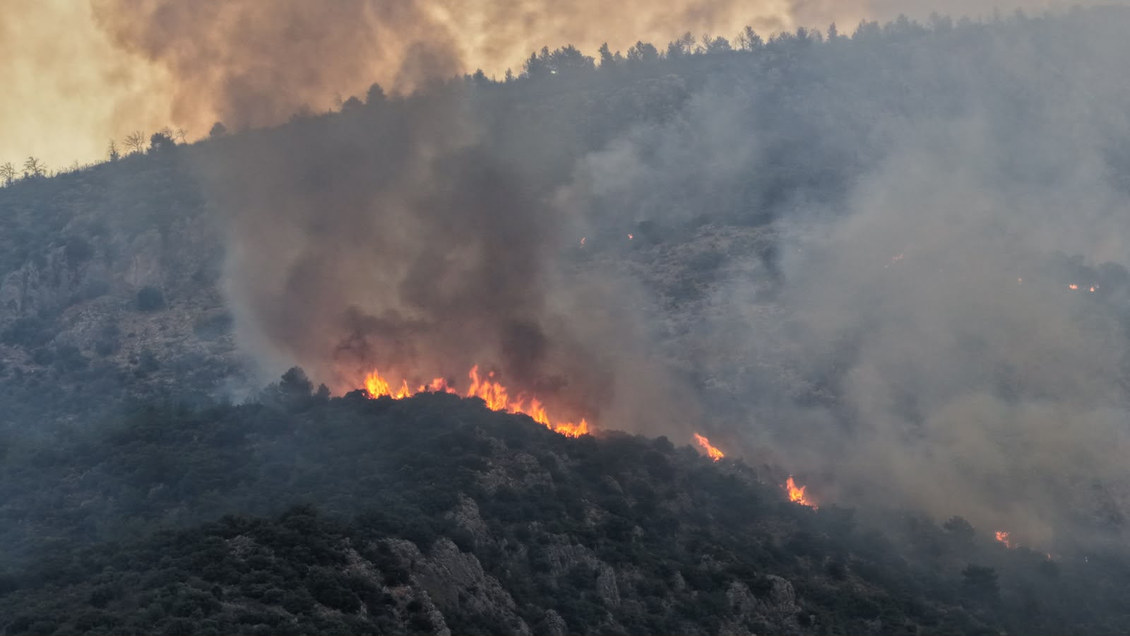 Antalya'da orman yangını. Havadan müdahale yeniden başladı