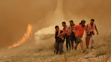 Görüntüler Muğla'dan: Ekipler yangını söndürmek için seferber oldu