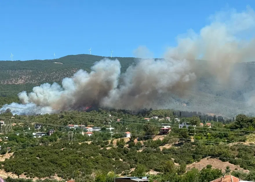 AYDIN 1