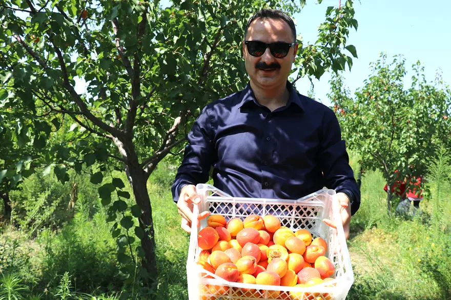 Çorak arazinin ortasında vaha gibi! "Burada yapılamaz algısı kırıldı" 4