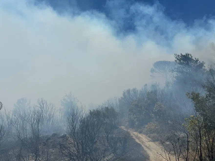 MARMARA ADASI YANGINI KONTROL ALTINDA 4