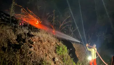 Antalya'daki orman yangını kontrol altına alındıGazipaşa'da ormanlık alanda yangın çıktı. Alevlerin yayılması durduruldu, tedbir amaçlı kapatılan Antalya-Mersin karayolunda ulaşım kontrollü olarak sağlanıyor.