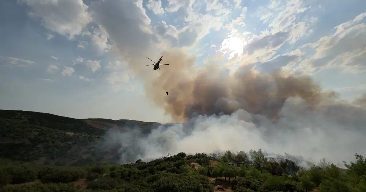 Manisa'da orman yangını. Havadan ve karadan müdahale ediliyor