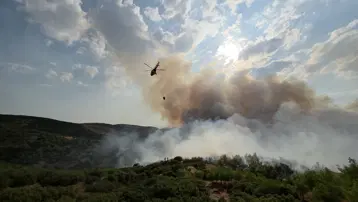 Manisa'da orman yangını. Havadan ve karadan müdahale ediliyor