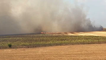 Silivri'de tarla yangını kontrol altına alındı