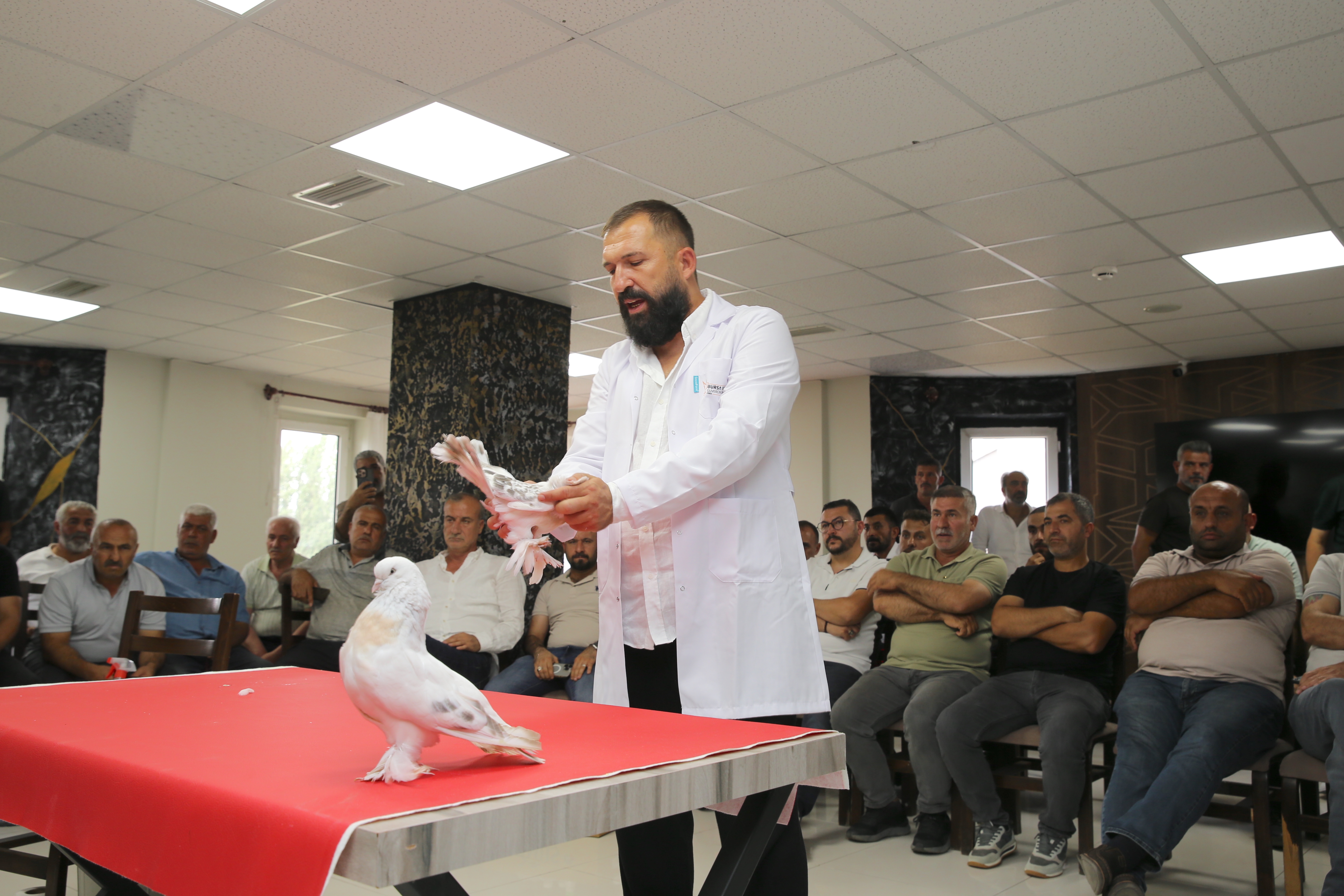 Özel kafeslerde korunuyorlar, tanesi 5 milyon TL. Dünyanın dört bir yanından Erzurum'a geliyorlar