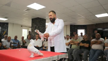 Özel kafeslerde korunuyorlar, tanesi 5 milyon TL. Dünyanın dört bir yanından Erzurum'a geliyorlar