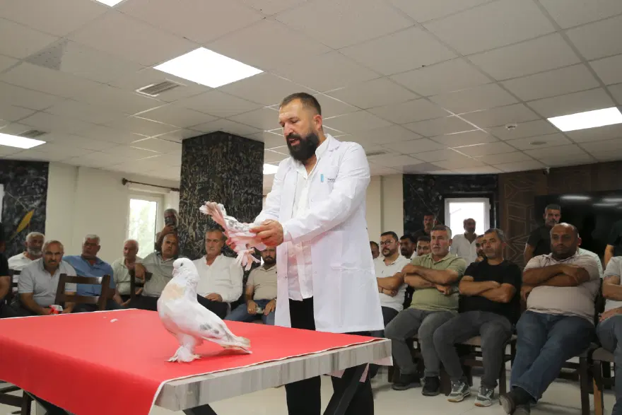 Özel kafeslerde korunuyorlar, tanesi 5 milyon TL. Dünyanın dört bir yanından Erzurum'a geliyorlar Özel kafeslerde korunuyorlar, tanesi 5 milyon TL. Dünyanın dört bir yanından Erzurum'a geliyorlar