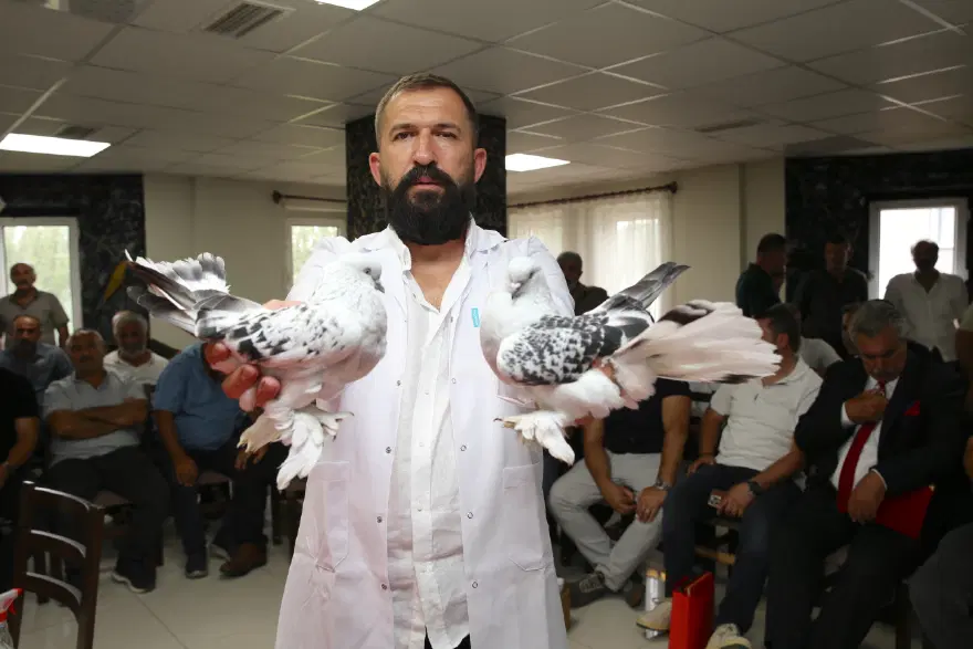 Özel kafeslerde korunuyorlar, tanesi 5 milyon TL. Dünyanın dört bir yanından Erzurum'a geliyorlar 1 Özel kafeslerde korunuyorlar, tanesi 5 milyon TL. Dünyanın dört bir yanından Erzurum'a geliyorlar 1