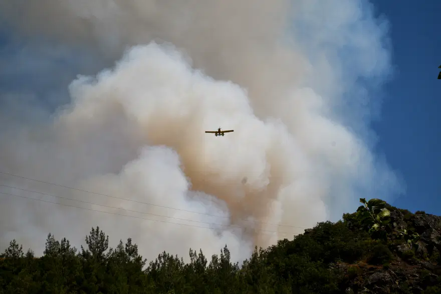 Balıkesir'de orman yangını. Kamyonda başladı ormana sıçradı 1