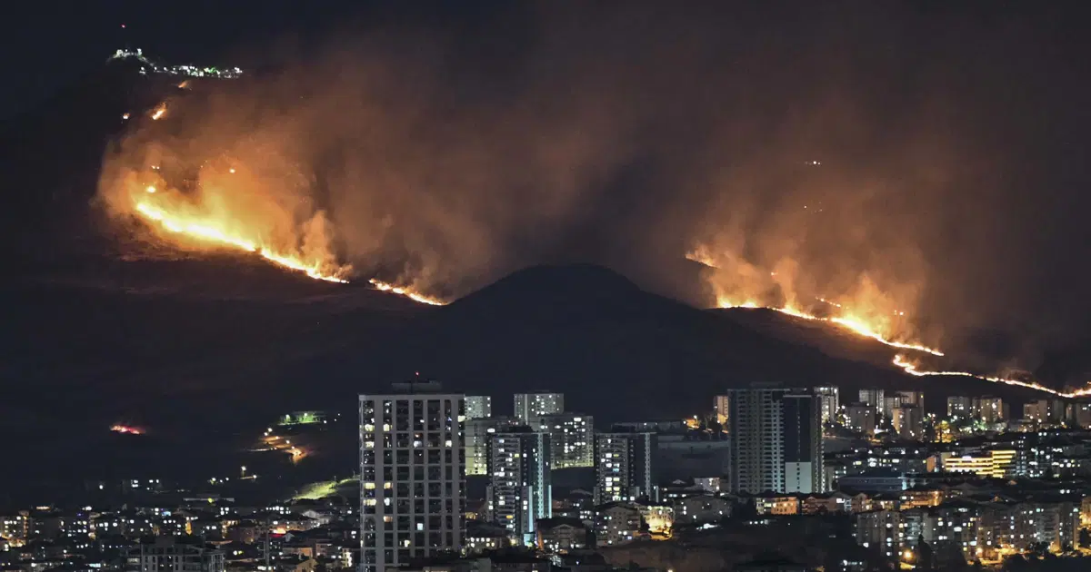 Ankara'da ağaçlık alanda yangın. Bir kişi gözaltına alındı