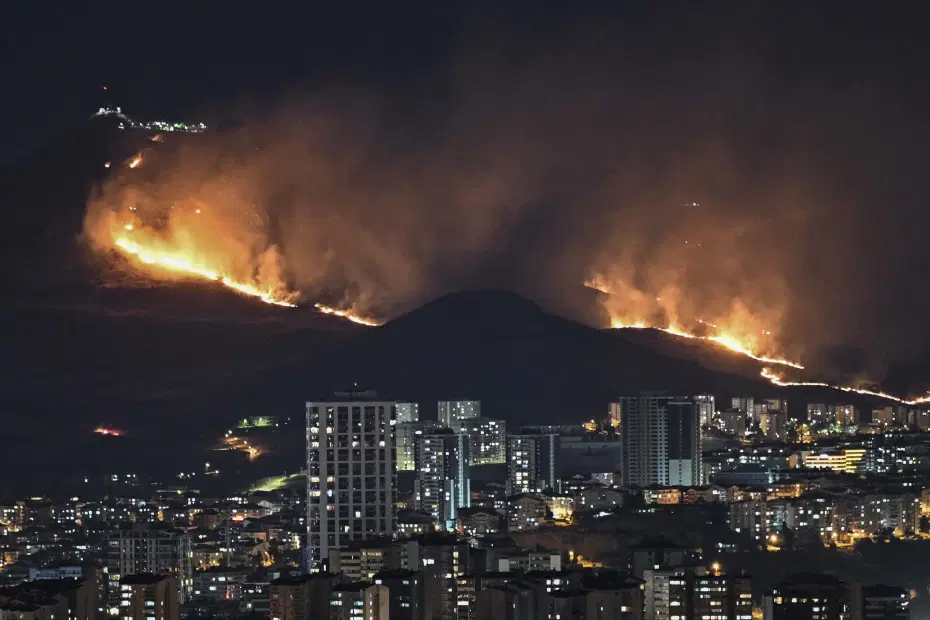 Ankara'da ağaçlık alanda yangın. Bir kişi gözaltına alındı