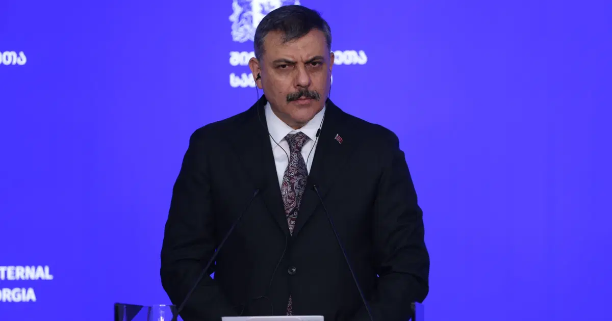 Gürcistan’da kırmızı bülten operasyonu. 22 kişi yakalandı, 11'i iade edildi
