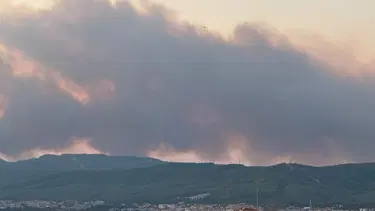 Muğla'da orman yangını. Kuvvetli rüzgarla büyüdü