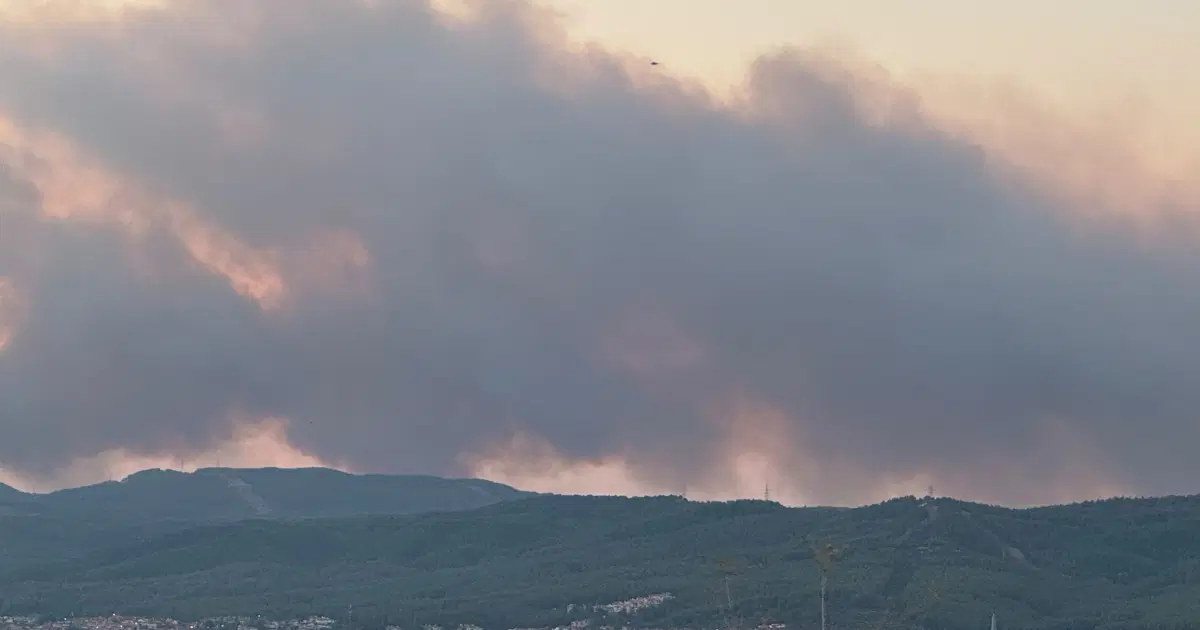Muğla'da orman yangını. Kuvvetli rüzgarla büyüdü
