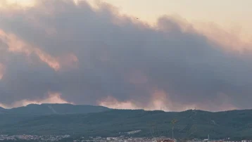 Muğla'da orman yangını. Kuvvetli rüzgarla büyüdü