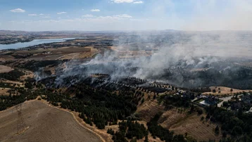 Ankara Gölbaşı'nda orman yangını kontrol altında