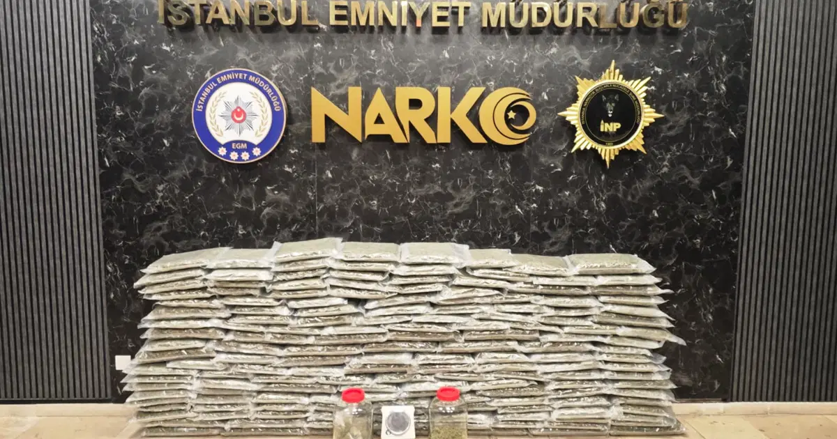 Five Skunks İstanbul ve Kocaeli'de uyuşturucu operasyonu. 100 kilo skunk ele ...