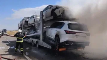 Ağrı'da otomobil yüklü TIR'da yangın çıktı. Araçlar hasar gördü