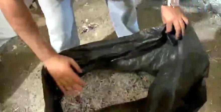 BELGELERİ İMHA ETMEYE ÇALIŞMIŞLAR 1 BELGELERİ İMHA ETMEYE ÇALIŞMIŞLAR 1