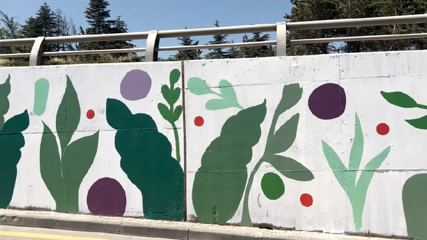 GRAFİTİ ÇALIŞMALARI 10 GRAFİTİ ÇALIŞMALARI 10