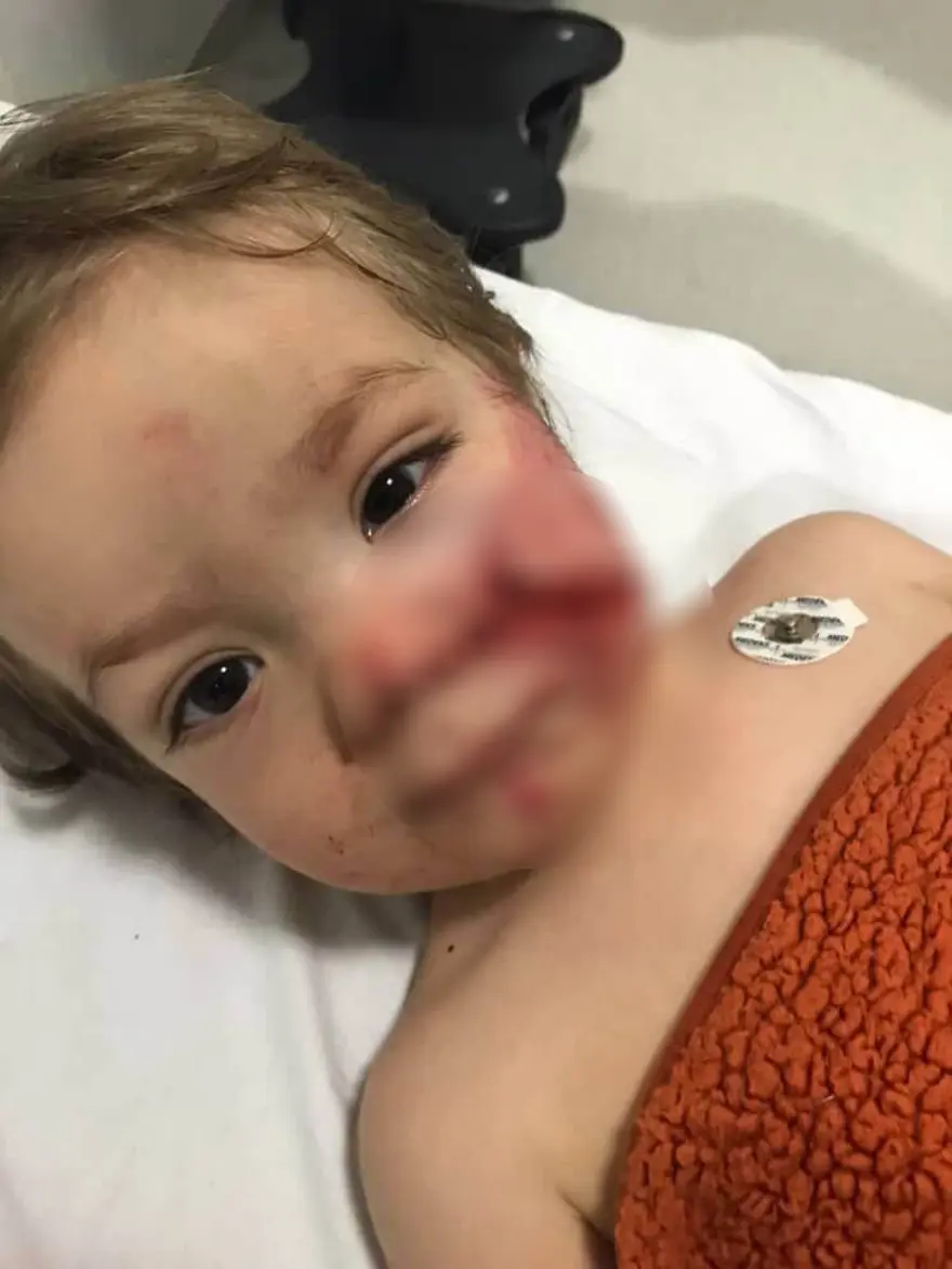 "KAPIYI AÇTIM SALDIRDI" 5