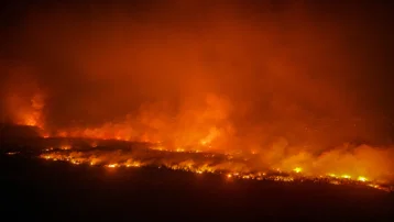 Antalya'da orman yangınıyla mücadele. Evler boşaltıldı