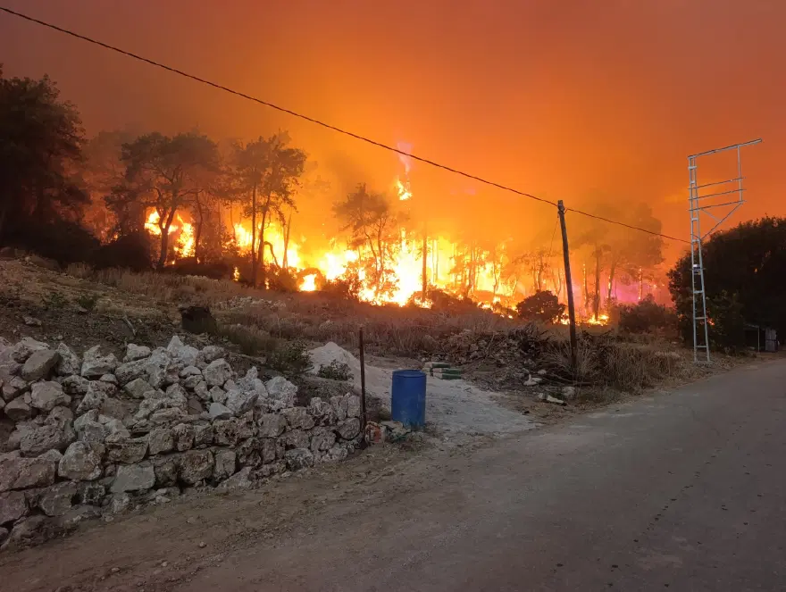 Antalya'da orman yangınıyla mücadele. Evler boşaltıldı 8