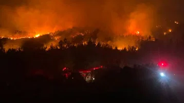 Antalya'da orman yangını. Alevler rüzgarın etkisiyle büyüdü