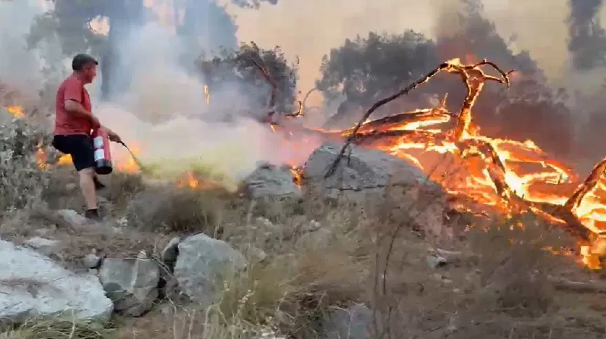 Antalya'da orman yangını. Yangın tüplerini eşekle taşıdılar Antalya'da orman yangını. Yangın tüplerini eşekle taşıdılar
