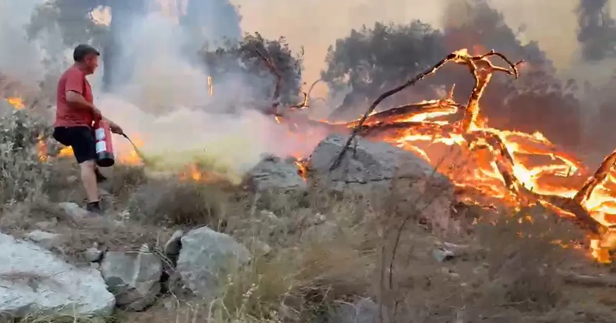 Antalya'da orman yangını. Yangın tüplerini eşekle taşıdılar