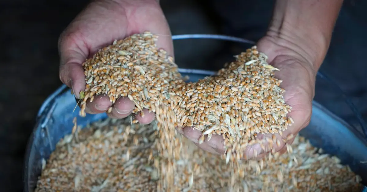 BM'ye göre dünyadaki açlığı bitirecek para kalmadı