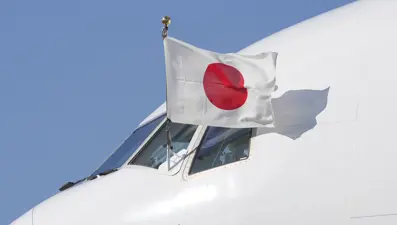 Japonya'da tek motorlu uçak düştü, 3 kişi öldü