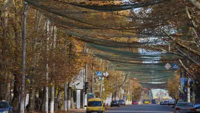 Ukrayna kenti nasıl &quot;insan safarisine&quot; dönüştü?