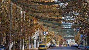 Ukrayna kenti nasıl "insan safarisine" dönüştü?