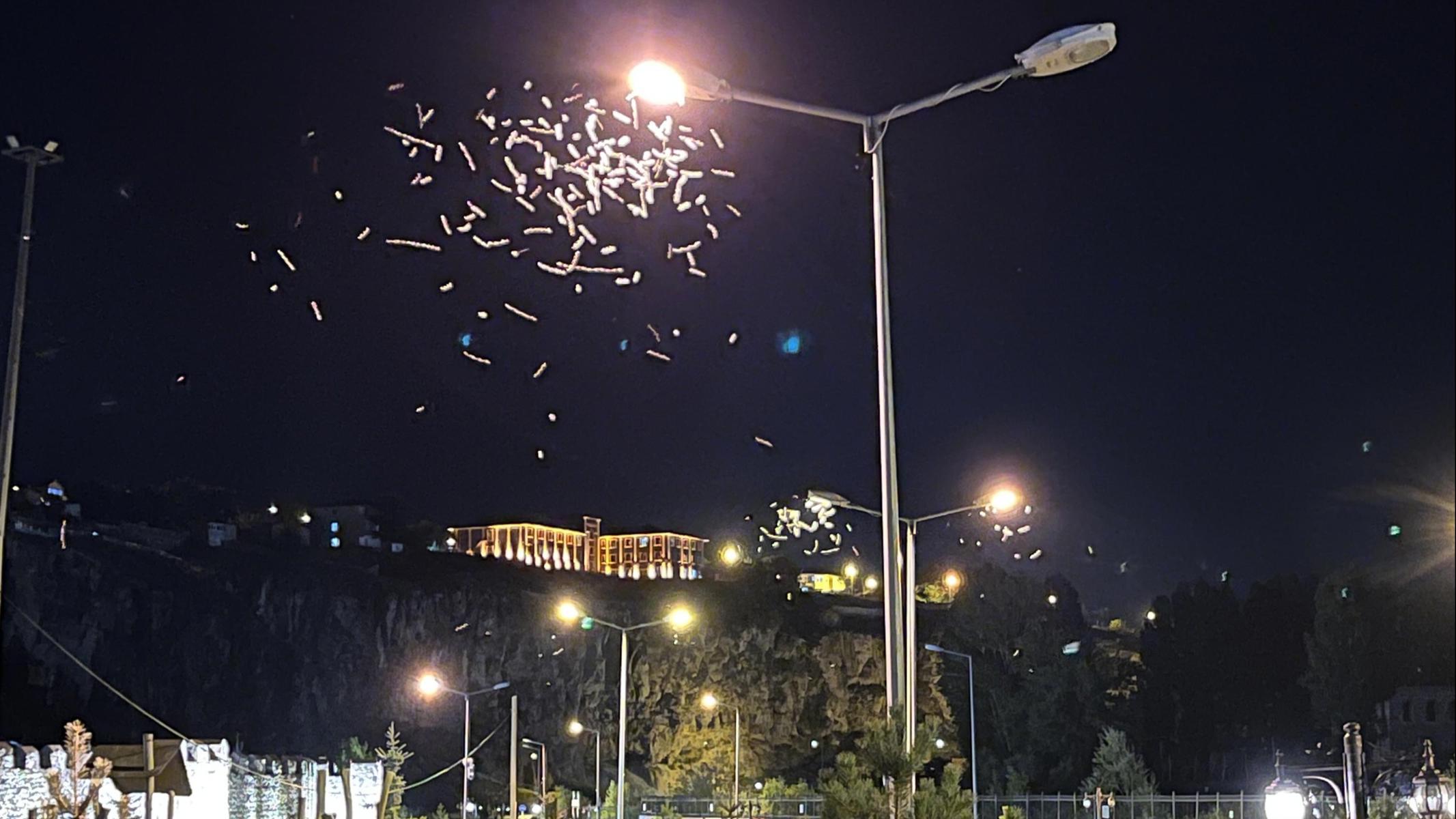 Ardahan’da milyonlarca kelebeğin "ölüm dansı" başladı