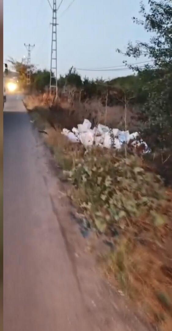 Kasalar dolusu bozuk balığı araziye bıraktı, 40 bin lira ceza yedi