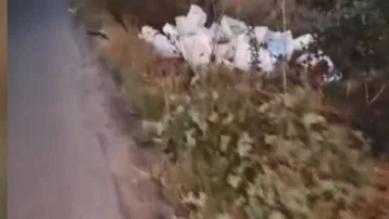 Kasalar dolusu bozuk balığı araziye bıraktı, 40 bin lira ceza yedi