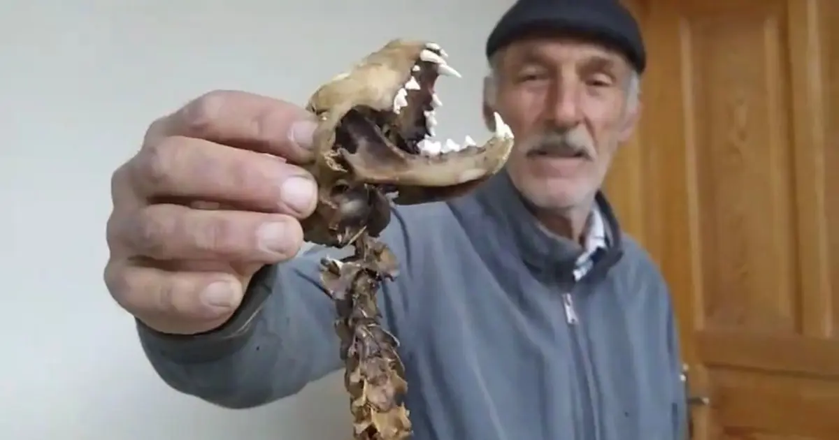 Ahırda naylonların arasında buldu, korkup ekiplere haber verdi