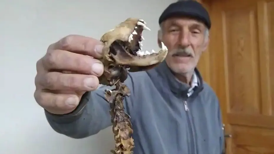 Ahırda naylonların arasında buldu, korkup ekiplere haber verdi