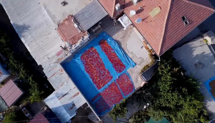 Ata tohumuyla üretiliyor, yarım kaşık bile yetiyor. Kilosu bin 300 lira  2