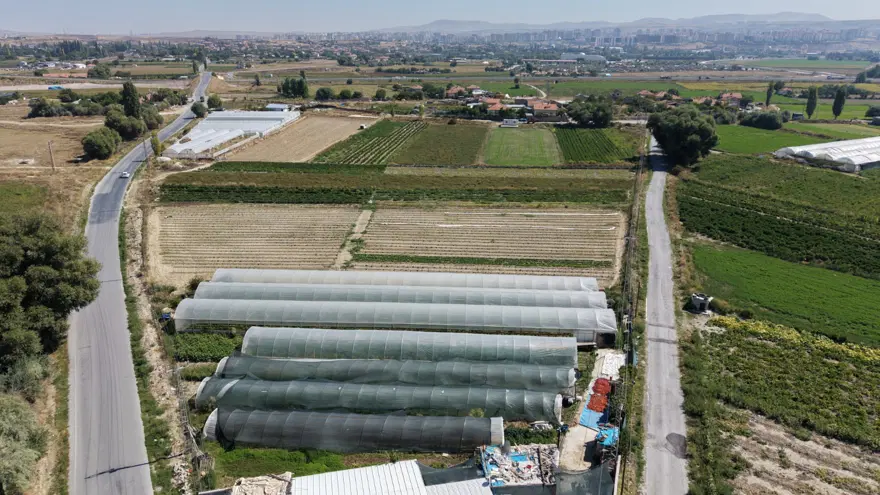 Ata tohumuyla üretiliyor, yarım kaşık bile yetiyor. Kilosu bin 300 lira  4
