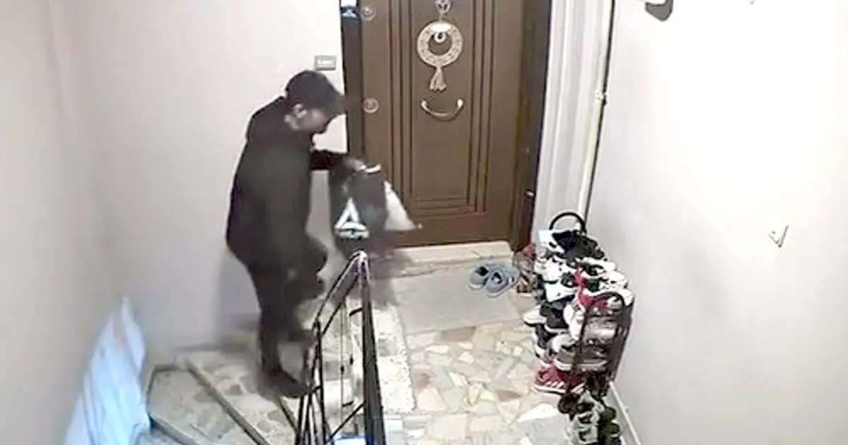 Kat kat dolaşıp topladı: Apartmandan 6 çift ayakkabı çaldı