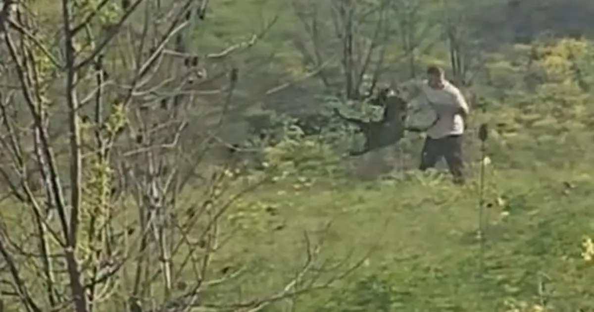 Avcılar’da köpeğine kemerli şiddet uygulayan kişi yakalandı