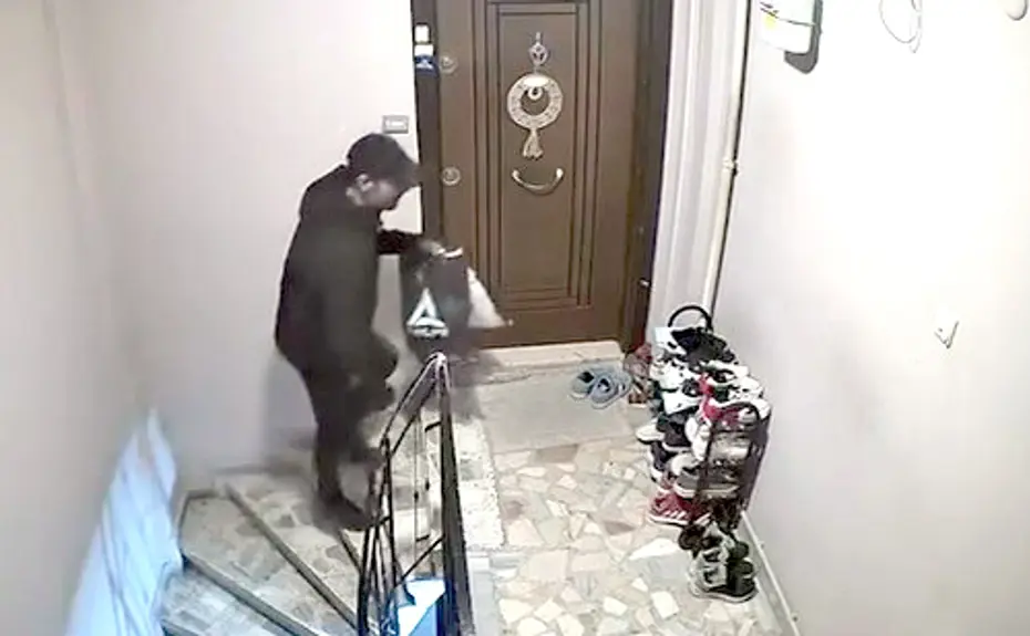 Kat kat dolaşıp topladı: Apartmandan 6 çift ayakkabı çaldı