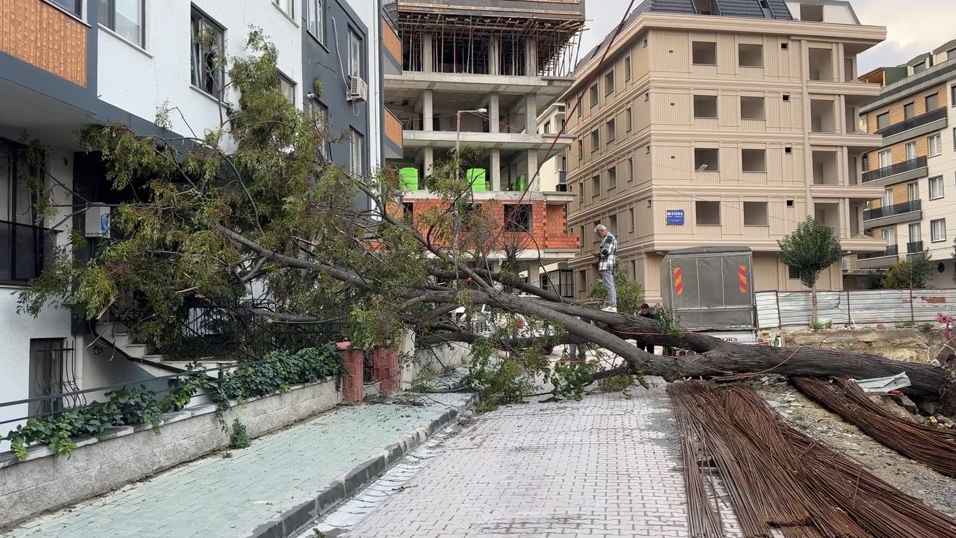 Avcılar'da devrilen ağacın altında kalmaktan son anda kurtuldu
